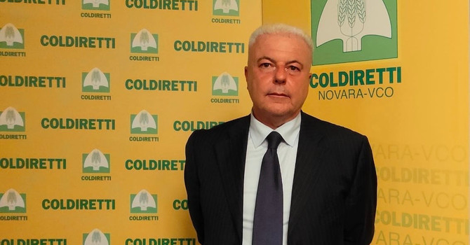 Domenico Pautasso