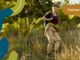 Sostenibilità e innovazione: vLabVerde tra i partner della EU Green Week 2026 Sostenibilità e innovazione: vLabVerde tra i partner della EU Green Week 2026