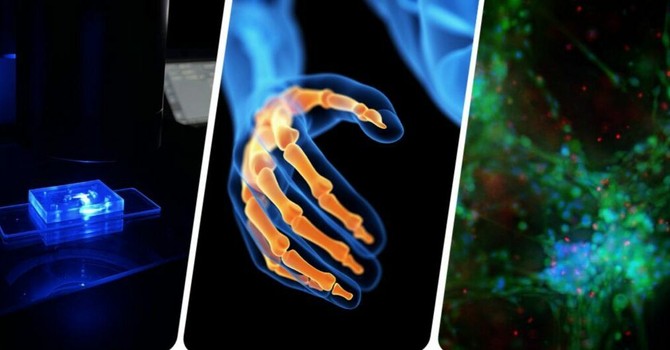 Flamin-Go: la ricerca che diventa cura