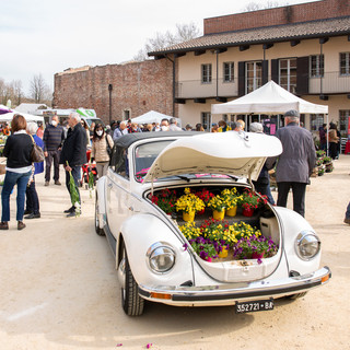 “Fiorissimo” torna al Castello di Novara: tre giorni dedicati a fiori, piante e creatività