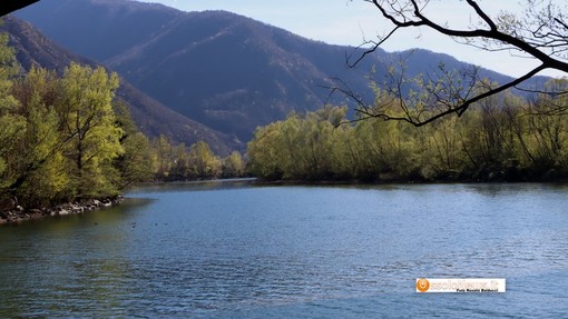 Riqualificazione fiumi e laghi piemontesi: 9 progetti ammessi al finanziamento della Regione
