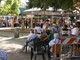 Weekend nel Novarese al via con spettacoli sotto le stelle, musica e mostre d’arte