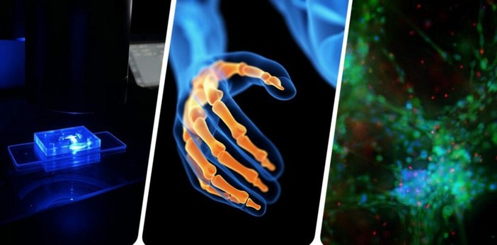 Flamin-Go: la ricerca che diventa cura