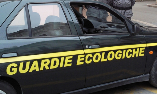 Bilancio positivo per le guardie ecologiche della Provincia