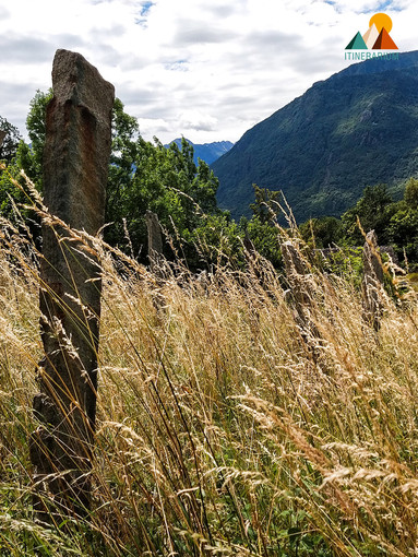 Cinque domeniche tra i vigneti dell'Alto Piemonte: al via il nuovo Cammina-tür di Itinerarium Cinque domeniche tra i vigneti dell'Alto Piemonte: al via il nuovo Cammina-tür di Itinerarium