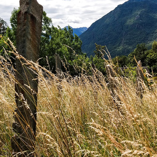 Cinque domeniche tra i vigneti dell'Alto Piemonte: al via il nuovo Cammina-tür di Itinerarium