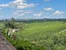 Un territorio &quot;Ai piedi dei monti&quot;: ecco il Piemonte