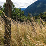 Cinque domeniche tra i vigneti dell'Alto Piemonte: al via il nuovo Cammina-tür di Itinerarium Cinque domeniche tra i vigneti dell'Alto Piemonte: al via il nuovo Cammina-tür di Itinerarium
