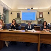 Piano Alfa, a Novara confronto con imprese e Università: 17 milioni per la conciliazione Piano Alfa, a Novara confronto con imprese e Università: 17 milioni per la conciliazione