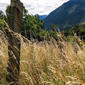 Cinque domeniche tra i vigneti dell'Alto Piemonte: al via il nuovo Cammina-tür di Itinerarium