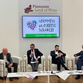 Novarese, nasce il Distretto del Cibo: eccellenze locali motore del turismo