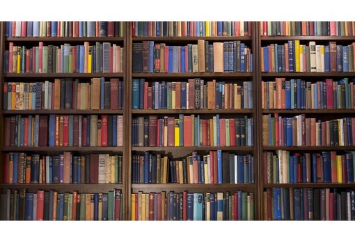 Caro libri e crisi delle librerie, Pompeo (PD): “La Regione intervenga subito”