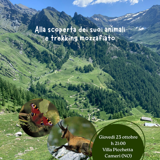 Le Valli del Gran Paradiso protagoniste a Cameri: una serata tra natura, emozioni e racconti di montagna