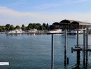 No alla guerra e al riarmo: il Battello della Pace attraversa il lago Maggiore No alla guerra e al riarmo: il Battello della Pace attraversa il lago Maggiore