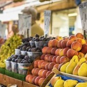 “Compra sereno”, Gusmeroli: “Dopo i provvedimenti nessun furto al mercato”