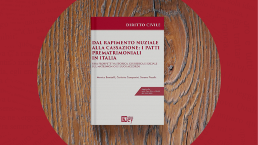 “Dal rapimento nuziale alla Cassazione”: i patti prematrimoniali al Castello di Novara “Dal rapimento nuziale alla Cassazione”: i patti prematrimoniali al Castello di Novara