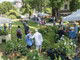 Menta e Rosmarino: a Miasino torna la kermesse tra botanica, arte e design nel weekend
