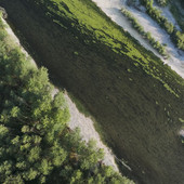Bellinzago, in mostra i “superpoteri” del fragile sistema Ticino-Lago Maggiore