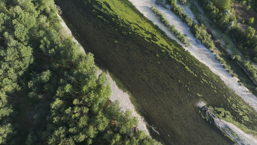 Bellinzago, in mostra i “superpoteri” del fragile sistema Ticino-Lago Maggiore Bellinzago, in mostra i “superpoteri” del fragile sistema Ticino-Lago Maggiore