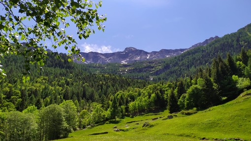 Lobby contro i territori montani nel ddl Montagna: eliminata la norma su reti e connessioni