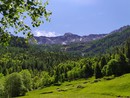 Pentenero e Calderoni (Pd): &quot;La Lega torna a occuparsi di montagna dopo averla dimenticata per anni&quot;