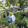 Menta e Rosmarino: a Miasino torna la kermesse tra botanica, arte e design nel weekend