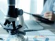 “No-Cancer 2025”: a Novara due giorni di scienza contro il cancro