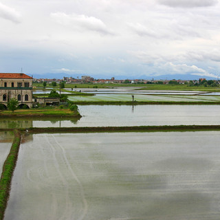 Dagli scarti del riso nascono nanomateriali per batterie e supercondensatori