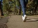 Prima edizione della &quot;Camminata del Laureato&quot; a Novara