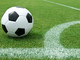 Calcio, Giuseppe Mascara nuovo allenatore del Novara fino a fine stagione