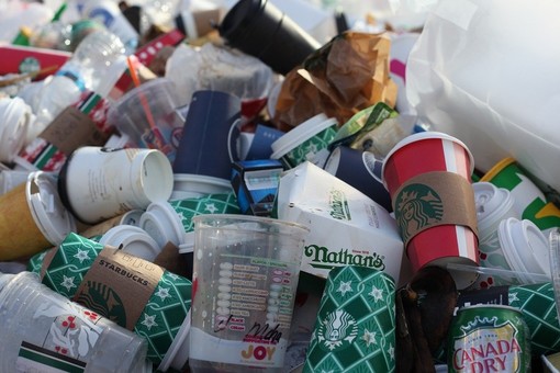 “Mangiaplastica”, il Piemonte sostiene il decreto interministeriale per ridurre la produzione dei rifiuti
