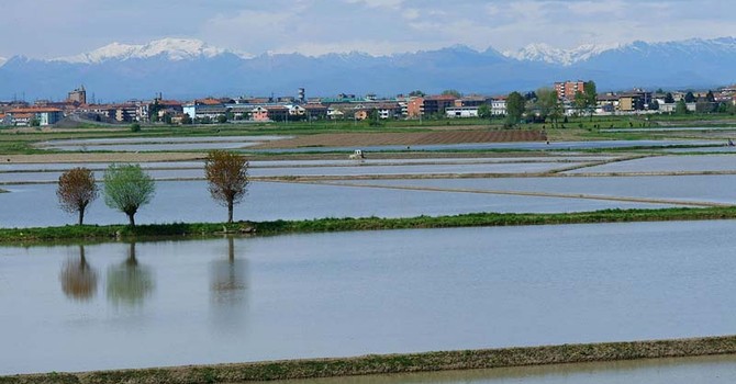 Caltignaga inaugura il primo distretto agrivoltaico del Novarese Caltignaga inaugura il primo distretto agrivoltaico del Novarese