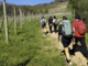 Turismo lento, cresce il Cammino delle colline novaresi