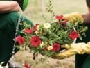Import di fiori e piante in Italia raddoppiato in 5 anni: Coldiretti chiede reciprocità per tutelare i produttori nazionali