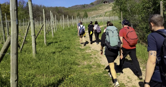 Turismo lento, cresce il Cammino delle colline novaresi