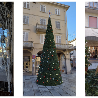 Si accende il Natale: il 29 novembre inaugurazione del “Dicembre borgomanerese”