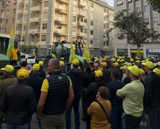 Crisi del riso, Coldiretti Novara-Vco scende in piazza contro il crollo dei prezzi
