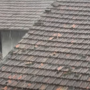 Forte temporale nell'Alto Novarese: nubifragi e grandine a Cureggio Forte temporale nell'Alto Novarese: nubifragi e grandine a Cureggio
