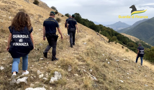 Intascavano fondi per pascoli inesistenti anche in Piemonte: 25 arresti per una truffa milionaria all'Unione Europea