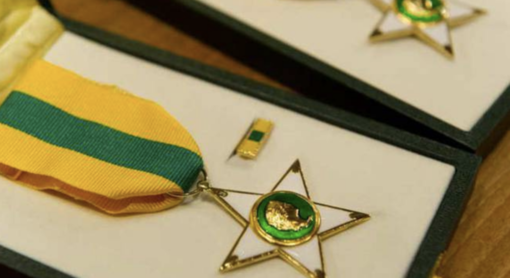 Stelle al Merito del Lavoro: undici nuovi Maestri dalla provincia di Novara