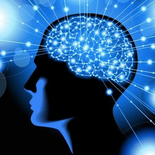 Trecate accende la solidarietà: il palazzo municipale illuminato di blu per la Giornata Mondiale del Parkinson