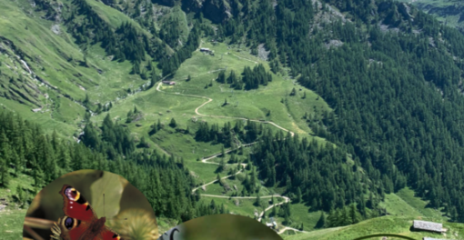 Serata sul Parco Nazionale Gran Paradiso a Villa Picchetta