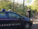 Spaccio di stupefacenti nei boschi di Oleggio: tre persone arrestate dai Carabinieri