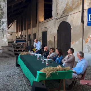 Risicoltura novarese, confronto sulle sfide tra clima, acqua e mercati