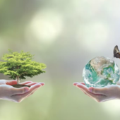 A Villa Cristina la biodiversità diventa esperienza: bruchi e farfalle per un nuovo percorso di cura