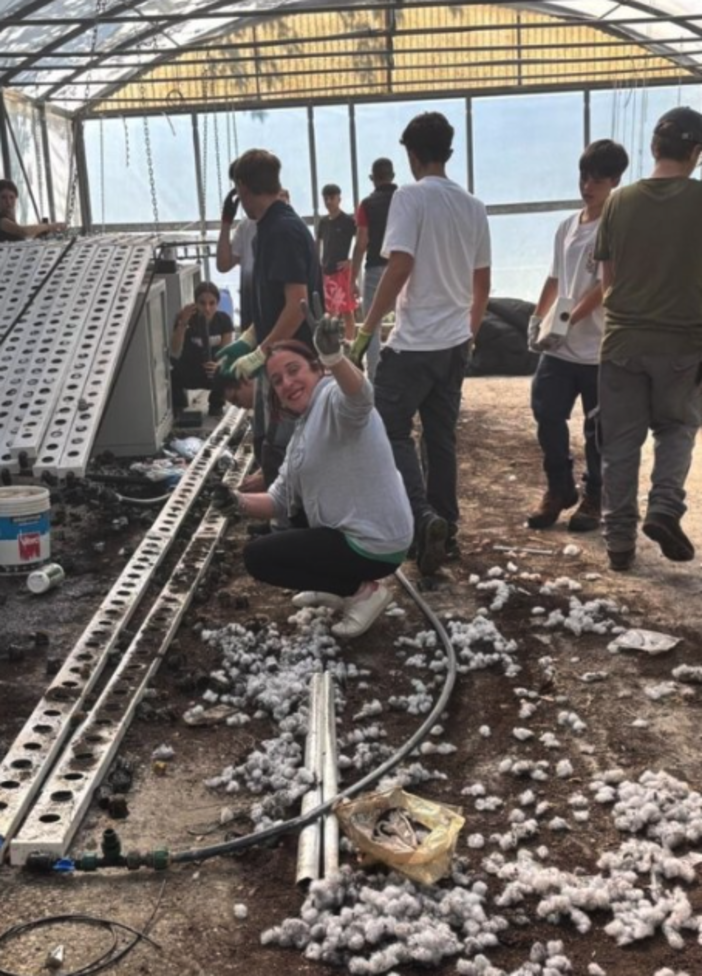 Vandali distruggono le serre dell’istituto agrario di Lesa Vandali distruggono le serre dell’istituto agrario di Lesa