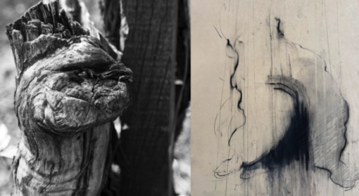 “Pareidolia” a Villa Picchetta: arte e natura in mostra tra volti e forme immaginate