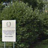 “Talento Verde”, al Bonfantini studenti coltivano il futuro