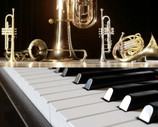 I concerti del Sabato al Conservatorio di Novara: un pomeriggio di musica classica e tradizionale