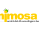 Borgomanero: il 14 settembre l'inaugurazione della nuova sede Mimosa e la presentazione delle attività